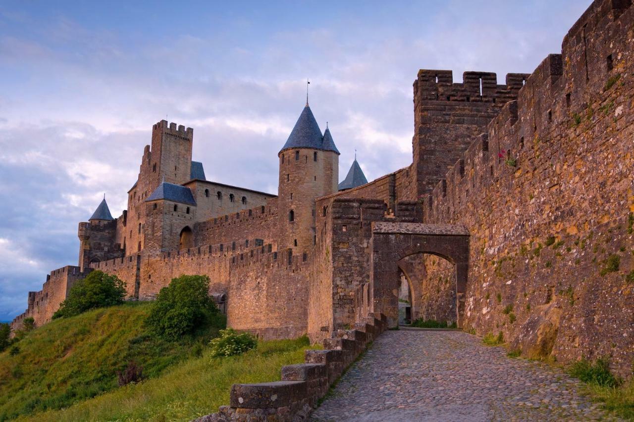 Appartement L'Oliveraie - La Cite Plein Les Yeux Carcassonne Dış mekan fotoğraf