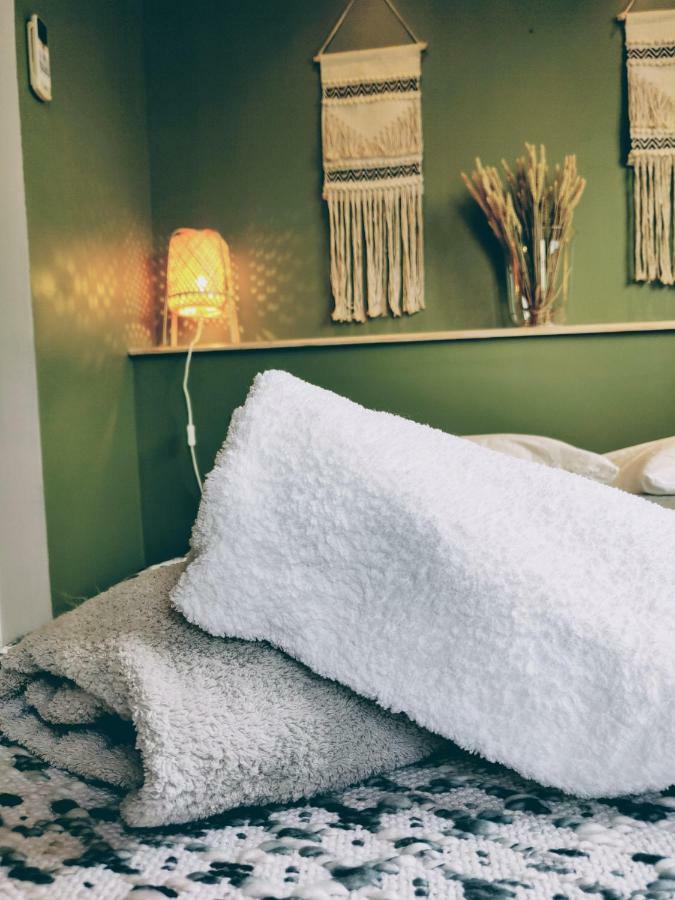 Appartement L'Oliveraie - La Cite Plein Les Yeux Carcassonne Dış mekan fotoğraf